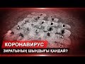 Коронавирус зиратының шындығы қандай?