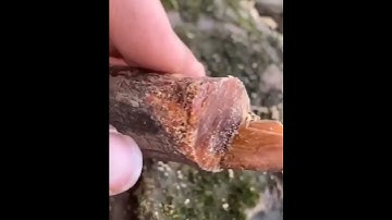 People With Amazing Skills | Skilled Worker On Another Level | Oddly satisfying Video