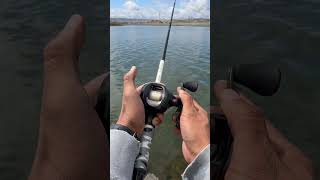 California Delta striped bass fishing, April 2026