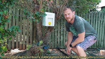 The Beginners beekeeping journal Episode 5 Making a Swarm Trap