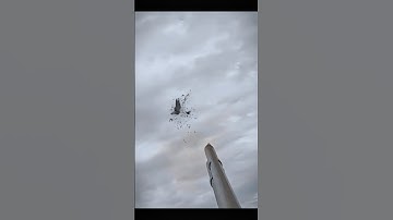 What a Shot 😱 pigeon hunt #birdhunt #grainbin #pigeonhunt #hunting #grainsilo #crowhunt #dovehunt