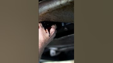 Leaking transmission fluid? That’s a warning sign! #shorts