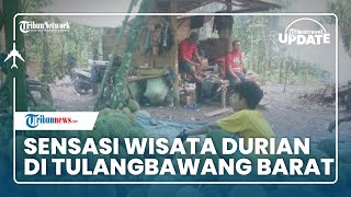 Wisata Kuliner Durian di Tulangbawang Barat, Berawal dari Tak Sengaja hingga Diminati Pengunjung