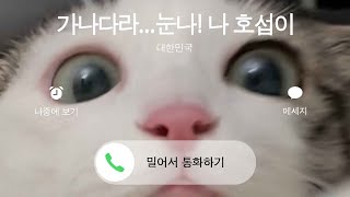 Nuna! Answer My call! Korean Speaking Cat Hoseop, Translation