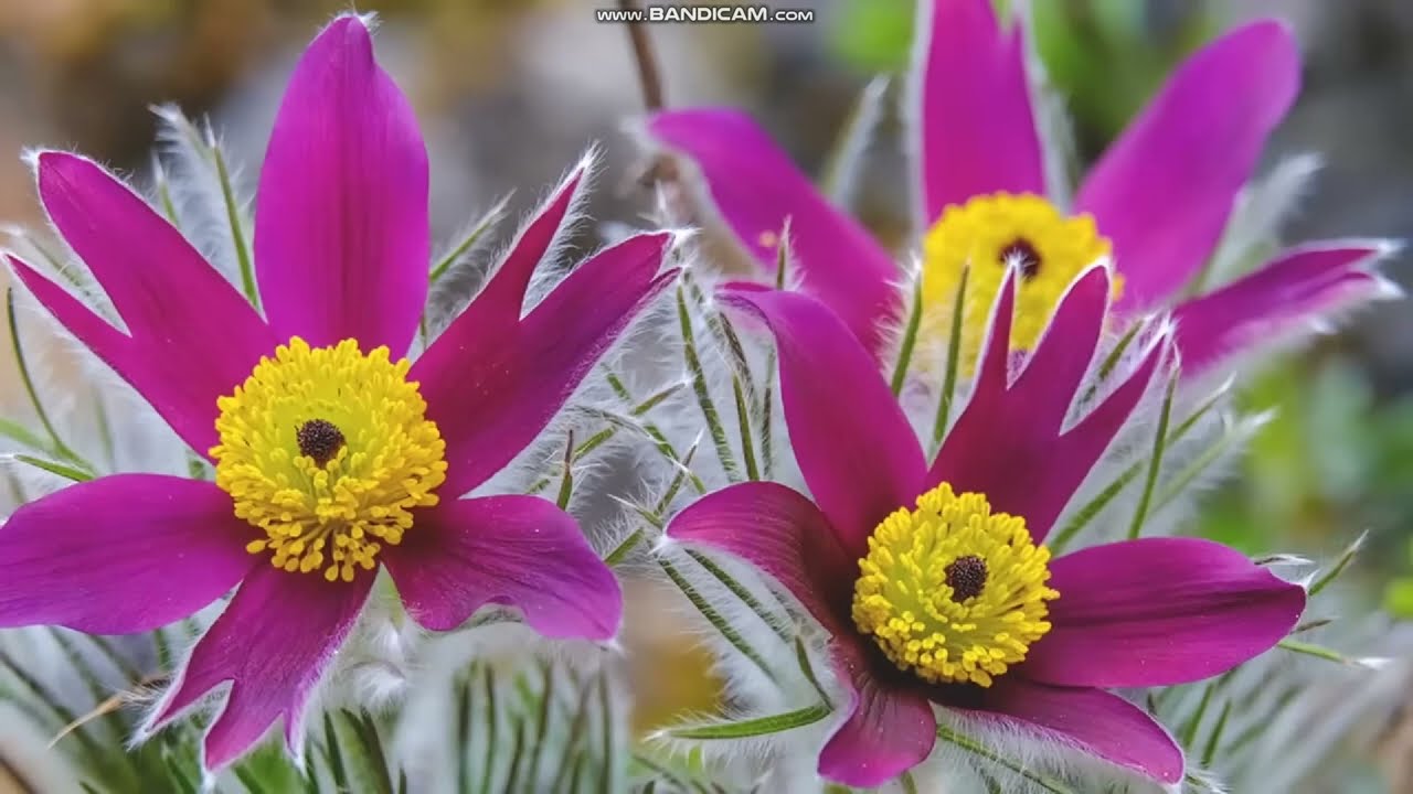 О компании, которая открылась через 10 лет!  ( часть 2 )