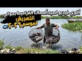 أقوي فيديو لصيد أسماك القراميط بجوابي التهريش لموسم 2026