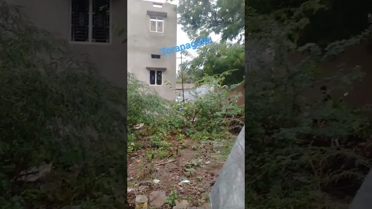 toranagallu