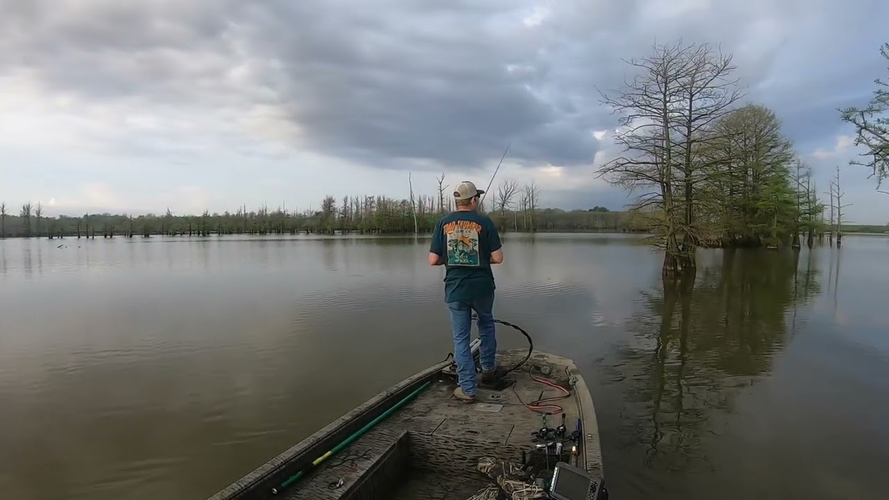 Colepile lake arkansas bass fishing April 8th 2024