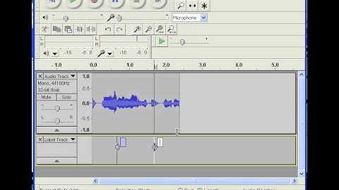 Turn off the Metadata frame in Audacity beta 1.3.10