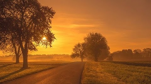 Incertitude / Irresolution ( André Gagnon )