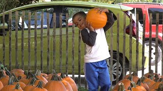 Red Wagon Farm celebrates Fall with its Pumpkin Festival