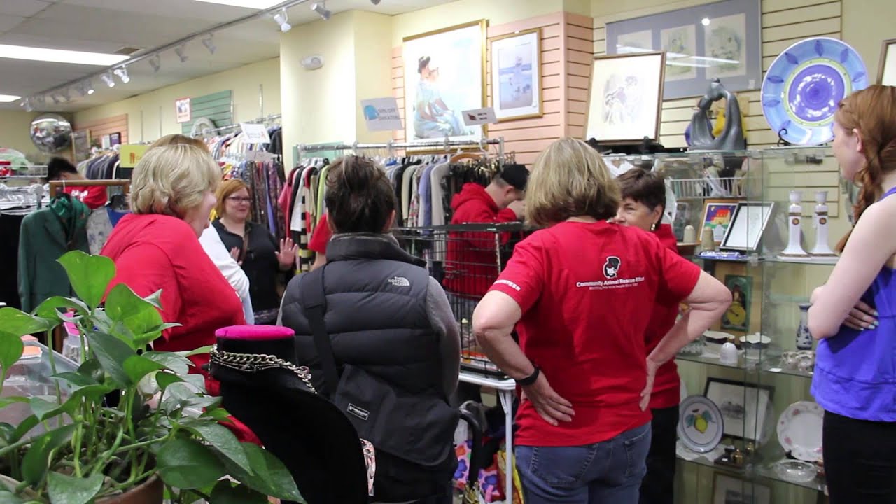 A No-kill Community: Animal Shelters in Chicago Work Hard to Reduce Euthanasia Rate