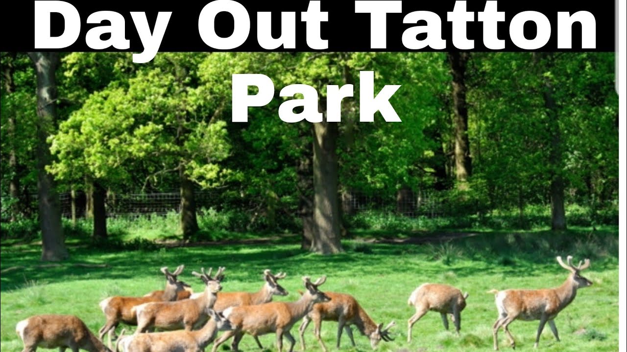 A day in Tatton Park Knutsford