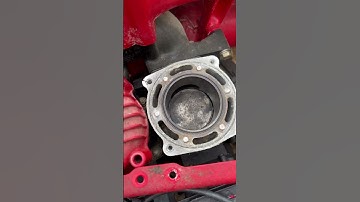 Done for 😂 #polaris