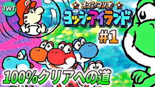 よっしーあいらんど　 A1etyQHMWRL._AC_UF350,