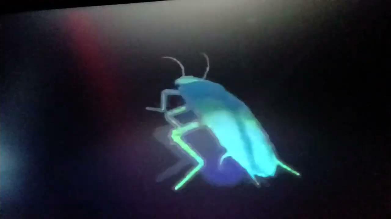 Rainbow cockroach spinning youtube