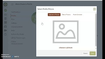 How to change your profile picture in Canvas