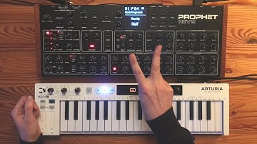 Tutorial: Prophet Rev2 pad with shifting rhythmic pattern