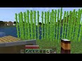 Minecraft Many 04.11