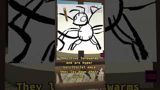 Beedrill are more dangerous than you thought…