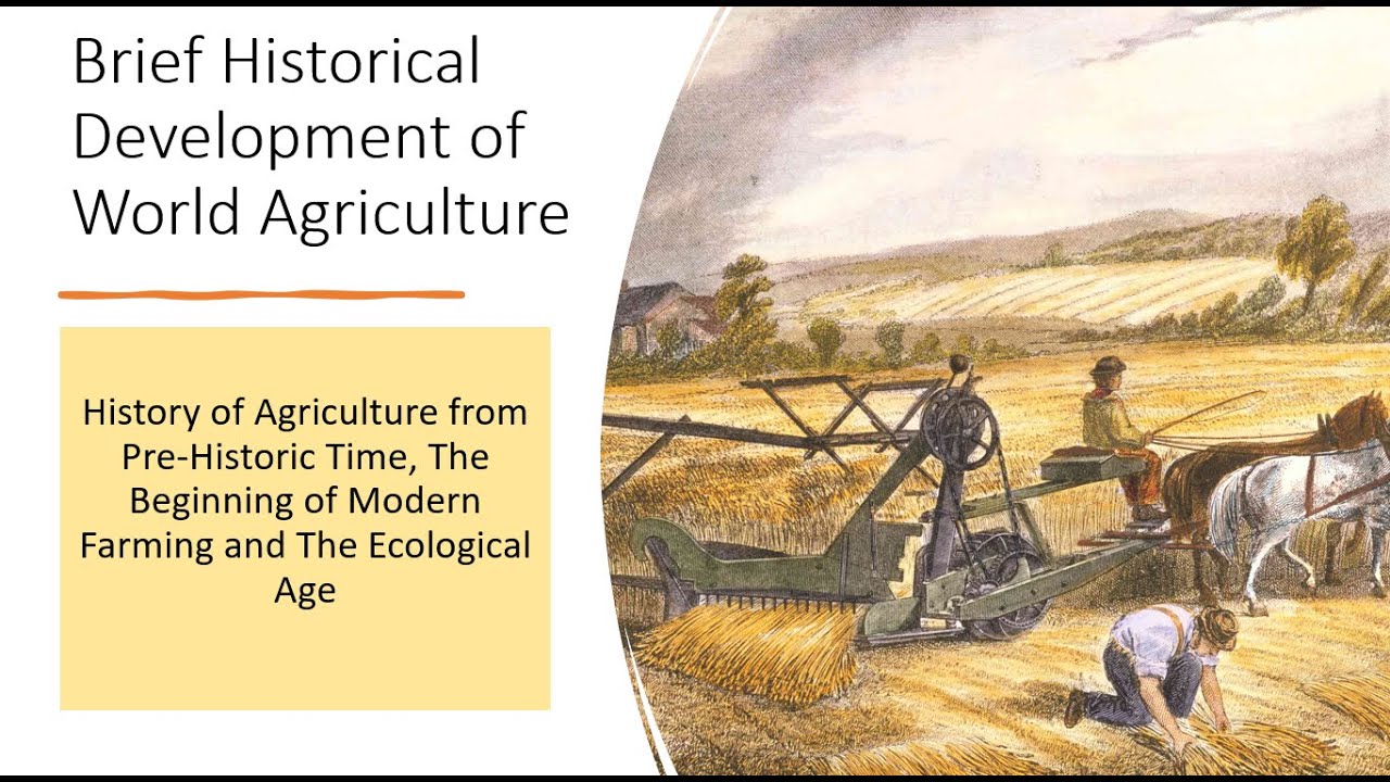 history of agriculture essay 300 words