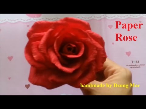 Hướng dẫn 5 cách làm hoa hồng bằng giấy đẹp và đơn giản handmade by Dzung Mac