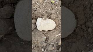 Fantastic find - Ohio artifact hunt on a perfect weather day😊