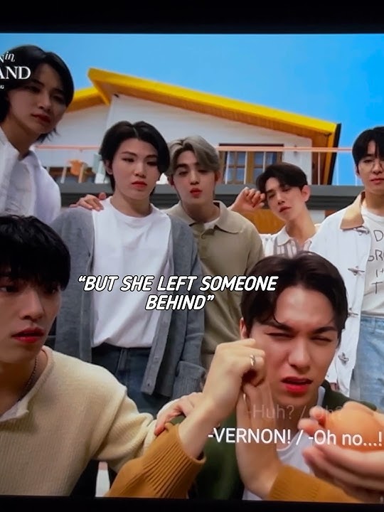 SEVENTEEN are unserious in every situation😆😅Never let them name you🤦🏻‍♀️#seventeen#vernon#Mingyu