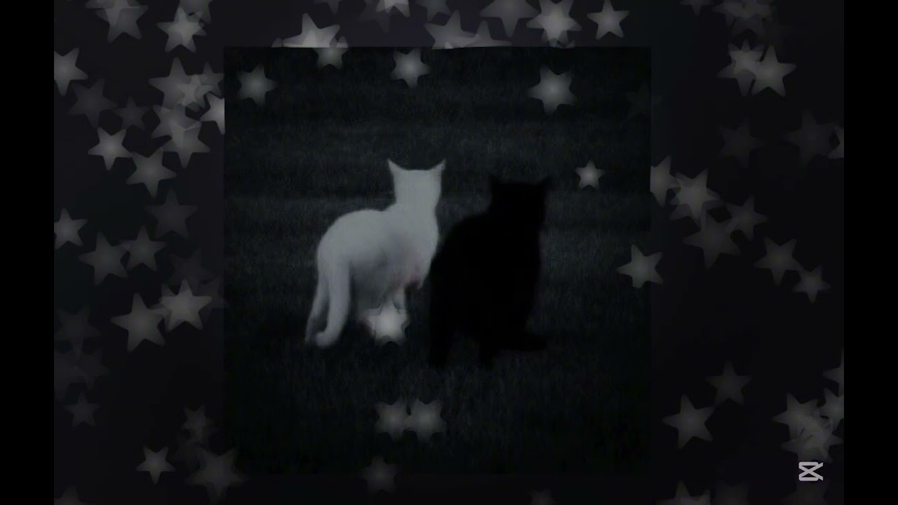 Army Dreamers-Kate Bush (Slowed) 