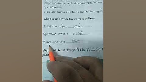 Grade One: Science:Unit 8 Pg#39 book work/The Message School Sialkot