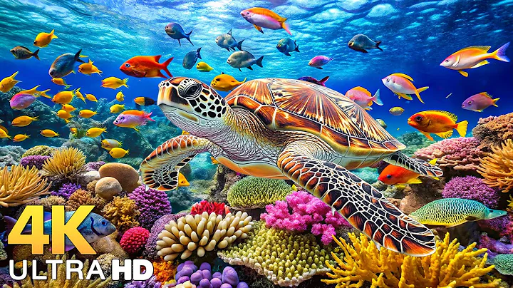 Dive Into the Mesmerizing Underwater Realm-Marvel at Sea Animal in The Best 4K ULTRA HD Aquarium #10