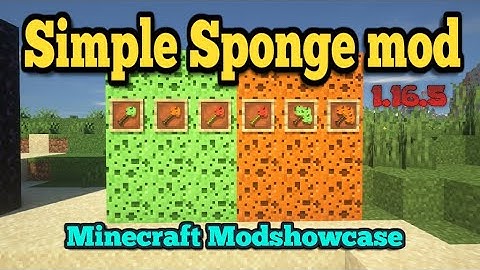 Minecraft 1.16.5 - Simple Sponge mod