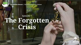 E01: The (Forgotten) Amphibian Crisis with Dr. Joe Mendelson
