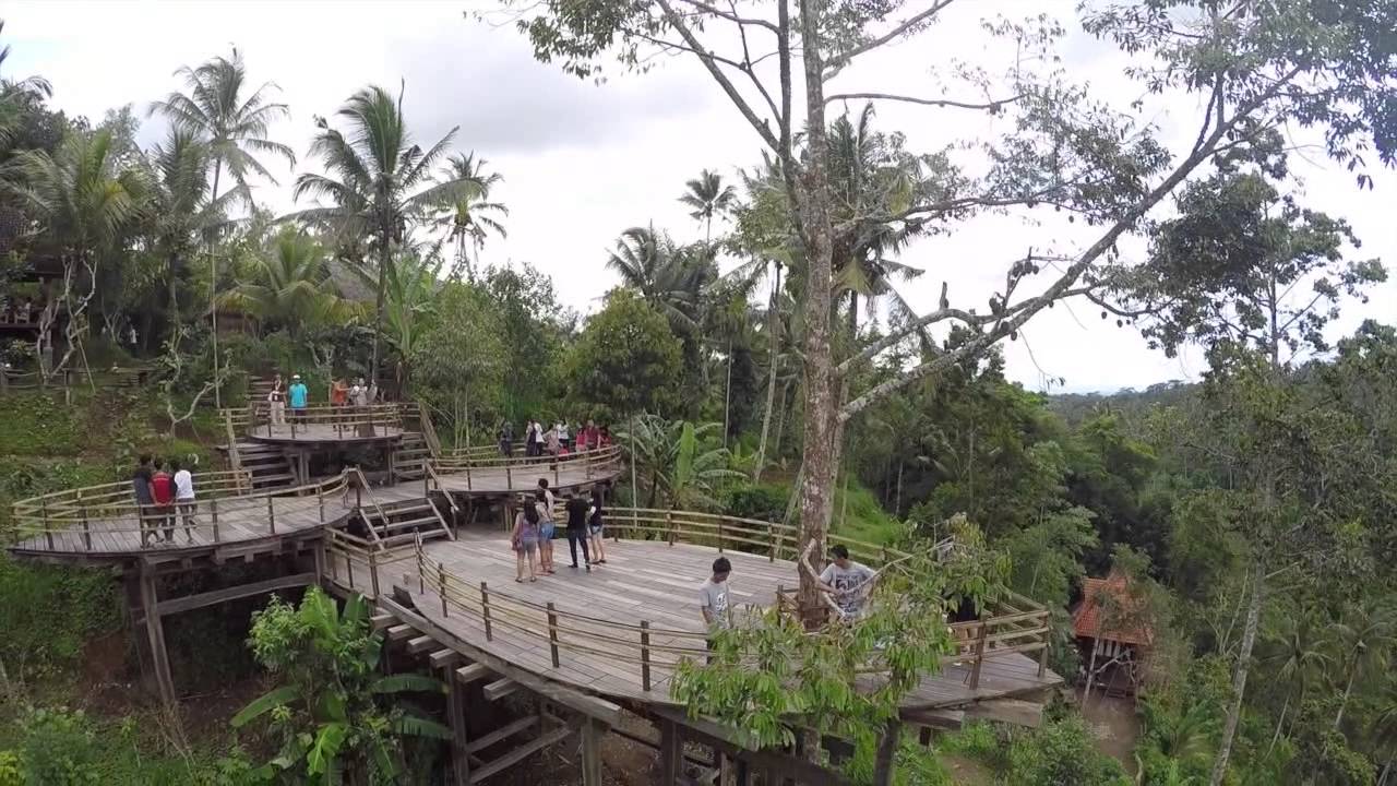 Ubud Aerial - YouTube