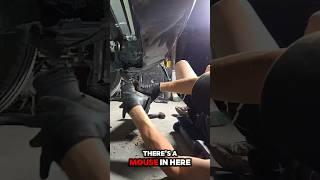 BMW N54s are FUN to DO😭😭🤣 #shorts  #funny