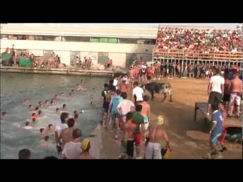 Dénia 2010: Bous a la mar