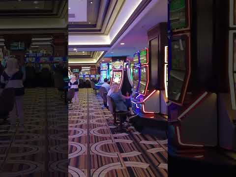 Real Casino Free Slots - Money Train