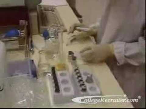 medical and clinical laboratory technologists youtube medical and clinical laboratory technologists