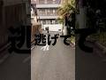 逃げて