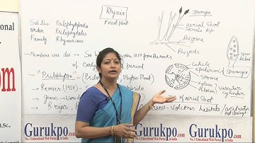 Rhynia by(B.Sc,M.Sc) Dr. Ruby Singh Parmar