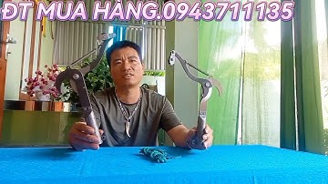 KÉO CẮT TỈA CÀNH CÂY HÁI HOA QUẢ TRÊN CAO NHƯ VIDEO SHOP TEST CHẤT LƯỢNG CHO MỌI NGƯỜI 