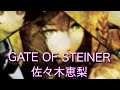GATE OF STEINER佐々木恵梨 #GATEOFSTEINER #佐々木恵梨 #カバー #歌ってみた