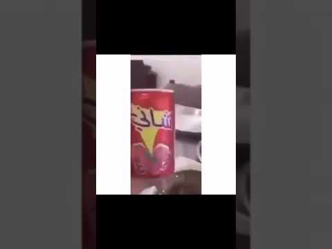 شاني يبيله شبسي