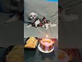 Cute dog adventure shih tzu luchi birt.ay cake happybirt.ay shorts