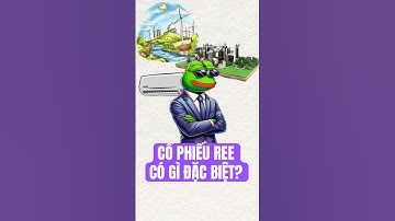 CỔ PHIẾU REE – CÓ GÌ ĐẶC BIỆT?