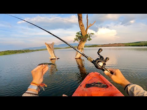 Video: Pescador Increíble