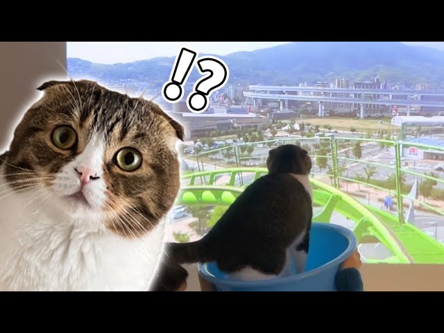 ねこねここ Amazon | YUNZII C68 ワイヤレスメカニカルキーボード かわいい