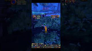 WoW Classic TBC Warlock World PvP - 1v1 Warlock vs Mage #worldofwarcraft  #mmorpg #pvp