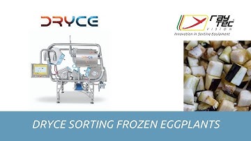 Dryce sorting frozen eggplants | RAYTEC VISION SpA