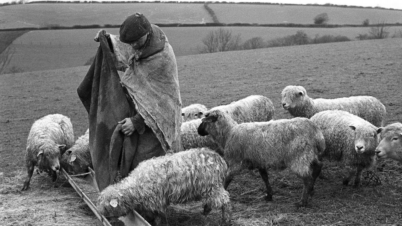pt-3-feed-my-sheep-feed-my-sheep-feed-my-sheep-youtube